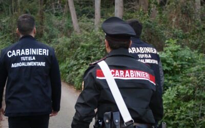 Operazione “Grazing Code”, truffa all’Agea: sequestro di circa 455 mila euro a 4 imprenditori agricoli messinesi