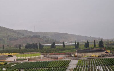 Impianto biometano a Rodì Milici, Assemblea pubblica a Falcone: Sindaci a confronto con cittadinanza