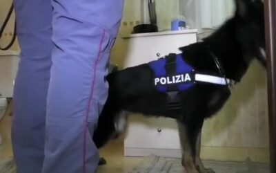 Messina. Duro colpo al market della droga nel rione CEP, 15 arrestati: i dettagli dell’operazione