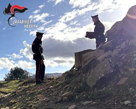 San Fratello. Estorsione, furto e uccisione di animali, arrestato 47enne allevatore