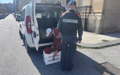 Sequestri di pesce di varie specie: oltre 23kg, scattano 3 verbali