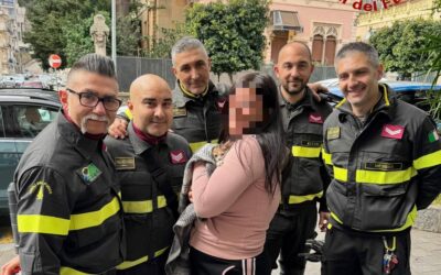 Salvato gattino bloccato in vano motore di un’auto