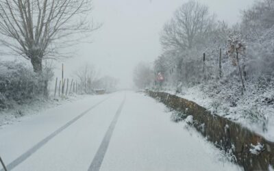 Viabilità sui Nebrodi, interventi spazzaneve su S.P. Caronia–Capizzi, Portella Bufali–Cesarò e di San Teodoro