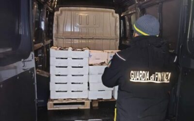 Messina. Sequestrati 400 chilogrammi di prodotti ittici senza tracciabilità