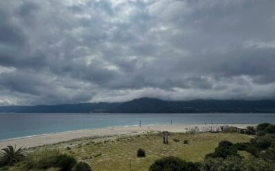 Horcynus Summer School 2026, pubblicato bando per 15 borse di studio focus su conservazione e restauro arte contemporanea