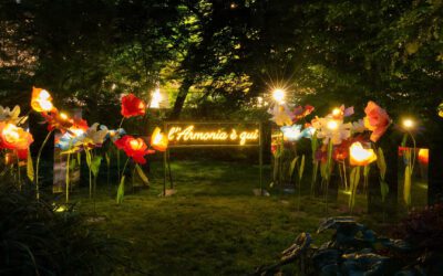 “L’Armonia è qui”: Davision porta al Fuorisalone 2026 l’installazione Irritec tra design e irrigazione sostenibile