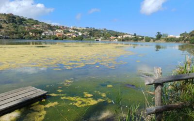 Città Metropolitana di Messina, al via l’apertura del Canale degli Inglesi e la pulizia dei fondali dei laghi di Ganzirri