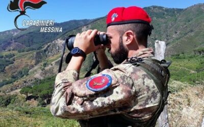 Nedrodi, controlli straordinari in aree rurali: denunciato 37enne con refurtiva