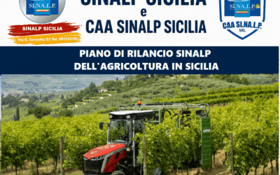 Sicilia. Sinalp a confronto con gli agricoltori siciliani al collasso: “Prezzi da fame, pagamenti in ritardo e campagne abbandonate”