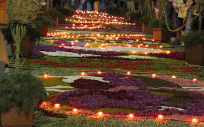 Montalbano Elicona. A Braidi 26ª infiorata con luminaria notturna: tappeto di fiori spontanei in due giorni di arte, sapori locali e buona musica