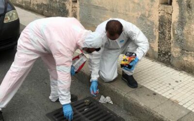 Milazzo. Comune, interventi di derattizzazione e deblattizzazione