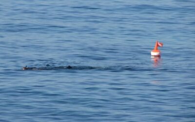 Tragedia a Salina, sub 35 anni muore durante battuta di pesca