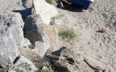 Messina. San Saba, consigliere Gioveni: “Superficialità e poca attenzione nella gestione del villaggio!”