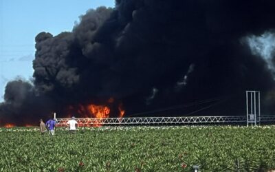 Grave incendio ai Vivai del Mela: folta nube e paura tra Olivarella e Milazzo. In fiamme anche serra a Barcellona