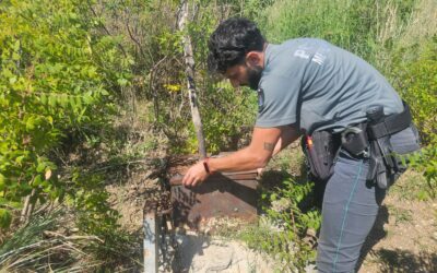 Polizia Metropolitana di Messina, controlli serrati in provincia contro bracconaggio e reati ambientali
