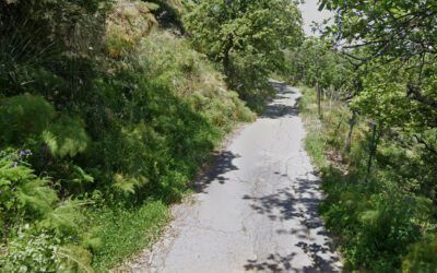 Viabilità jonica, al via i lavori di messa in sicurezza della S.P.A. Allume-Buticari: strada chiusa dal 6 al 23 ottobre